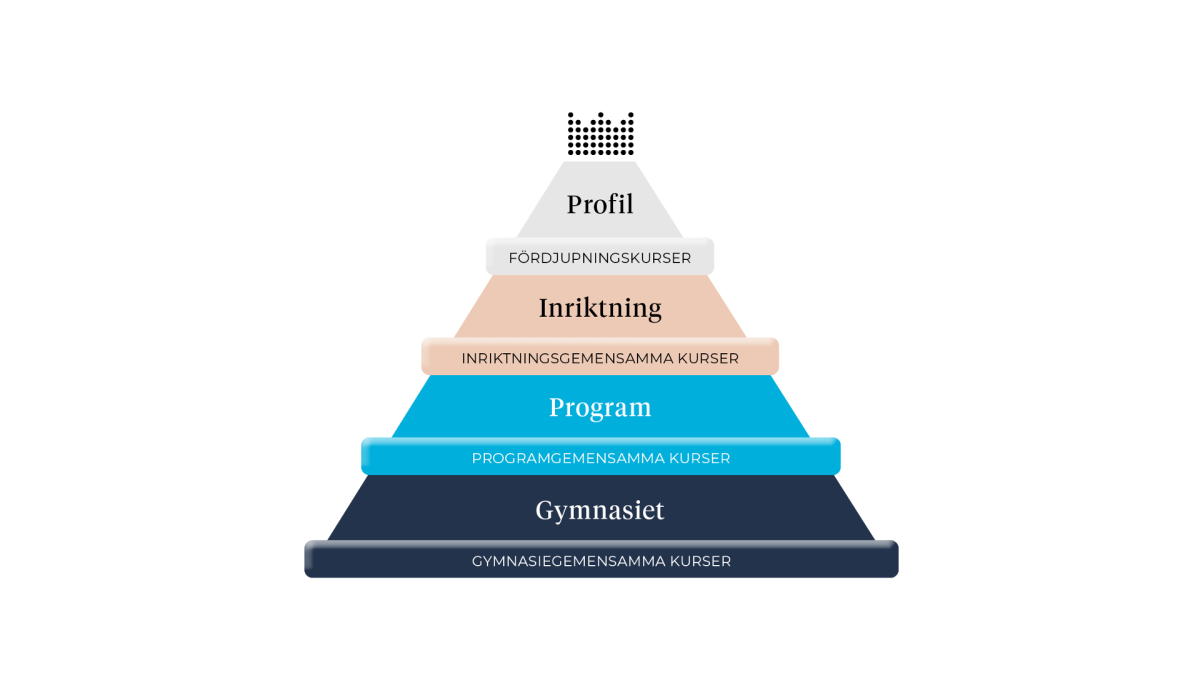 En pyramid som förklarar att profilen består av fördjupningskurser