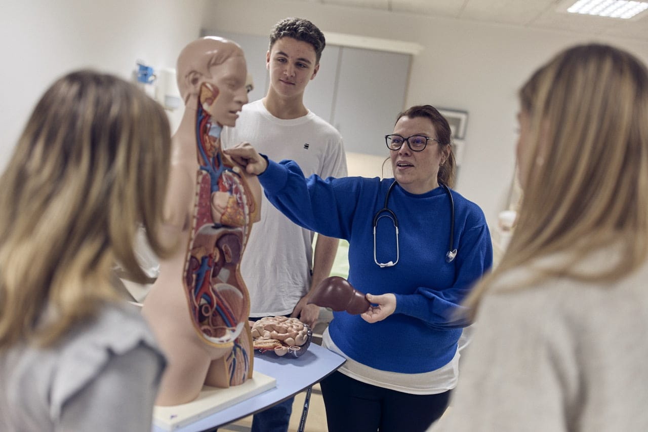 lärare visar upp en docka av kroppen för elever